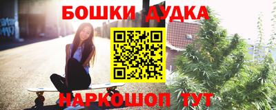гашик Обь