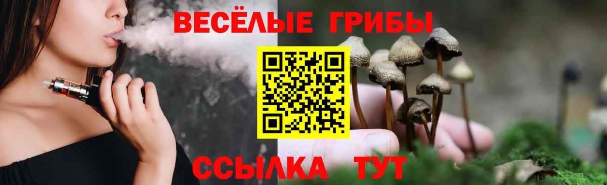 Псилоцибиновые грибы мухоморы Тара